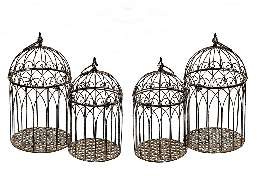 Lielais putnu būris