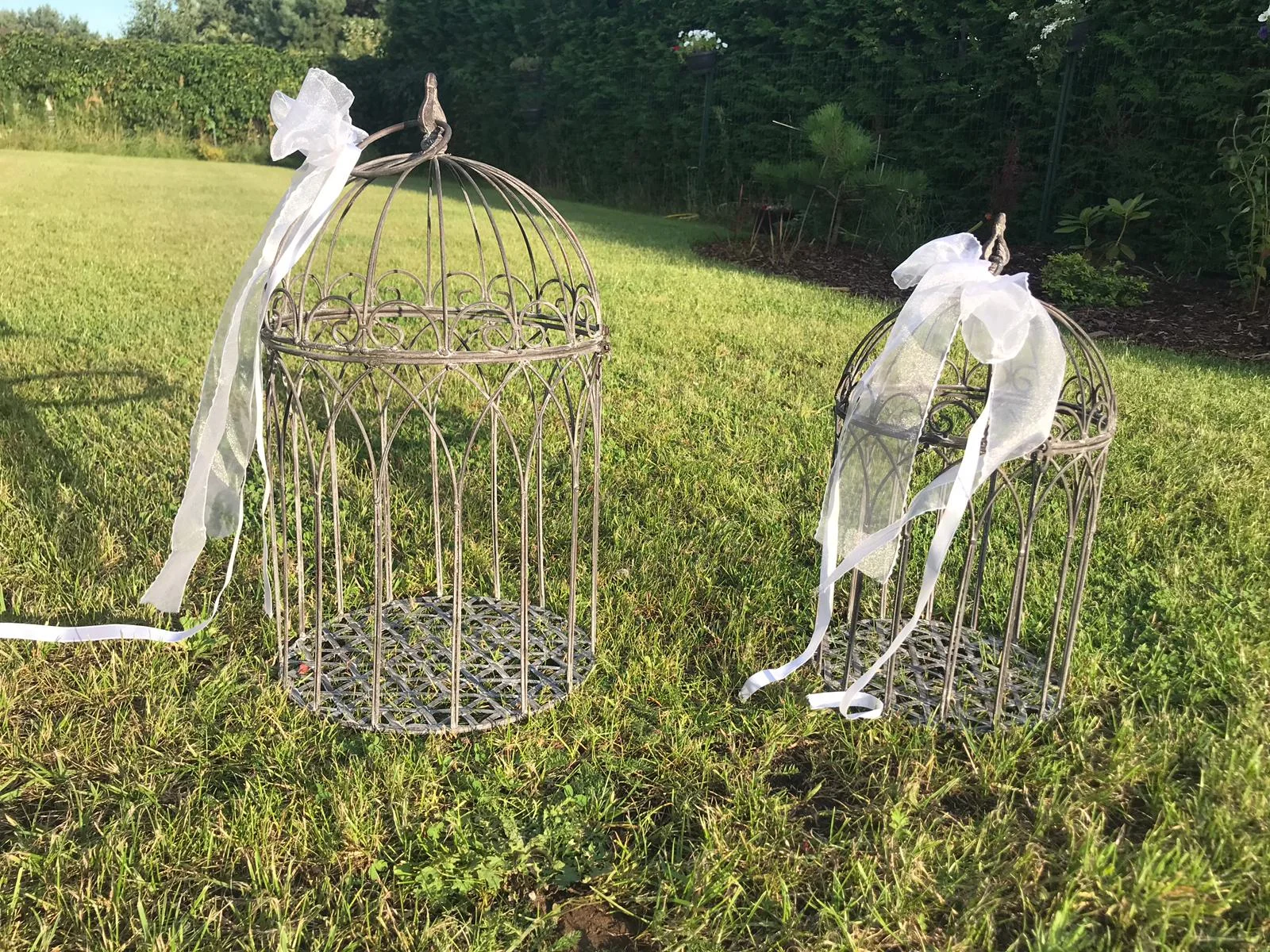 Lielais putnu būris